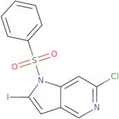 1-(Phenylsulfonyl)-6-chloro-2-iodo-5-azaindole