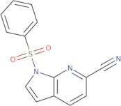 1-(Phenylsulfonyl)-1H-pyrrolo[2,3-b]pyridine-6-carbonitrile