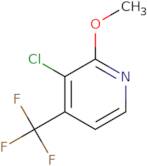 3-chloro-2-methoxy-4-(trifluoromethyl)pyridine
