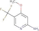 2-Amino-4-methoxy-5-(trifluoromethyl)pyridine