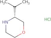 (R)-3-Isopropylmorpholine hydrochloride