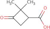 2,2-Dimethyl-3-oxocyclobutane-1-carboxylic acid