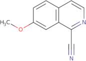 7-Methoxyisoquinoline-1-carbonitrile