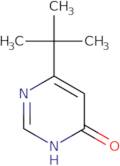 6-tert-Butyl-3,4-dihydropyrimidin-4-one