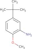 5-tert-Butyl-2-methoxyaniline