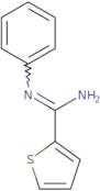 N-Phenylthiophene-2-carboximidamide