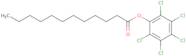 Pentachlorophenyl dodecanoate