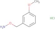 1-[(Ammoniooxy)methyl]-3-methoxybenzene chloride