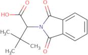 2-(1,3-Dioxo-2,3-dihydro-1H-isoindol-2-yl)-3,3-dimethylbutanoic acid