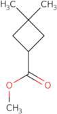 methyl 3,3-dimethylcyclobutane-1-carboxylate