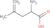 2-Amino-4-methylpent-4-enoic acid