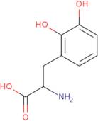 2-Amino-3-(2,3-dihydroxyphenyl)propanoic acid