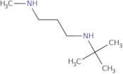 N1-(tert-Butyl)-N3-methyl-1,3-propanediamine