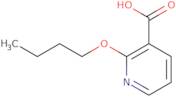 2-Butoxy-nicotinic acid