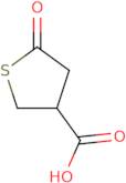 5-Oxothiolane-3-carboxylic acid