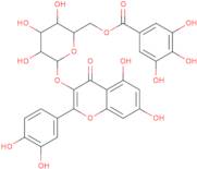 Quercetin 3-o-(6''-galloyl)-β-D-galactopyranoside