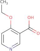 4-Ethoxypyridine-3-carboxylic acid