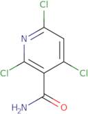 2,4,6-Trichloropyridine-3-carboxamide