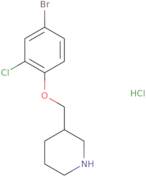 3-Chloro-4-[(pyrrolidine-1-carbonyl)-amino]-benzenesulfonyl chloride