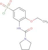 4-Ethoxy-3-(pyrrolidine-1-carboxamido)benzene-1-sulfonyl chloride