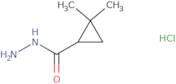 2,2-Dimethylcyclopropanecarbohydrazidehydrochloride