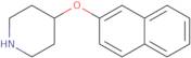 2-Naphthyl 4-piperidinyl ether