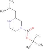 1-Boc-3-Isobutylpiperazine