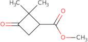 Methyl 2,2-dimethyl-3-oxocyclobutane-1-carboxylate