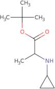 tert-Butyl 2-(cyclopropylamino)propanoate