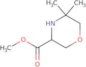 2-[4-Bromo-1-(2,2,2-trifluoroethyl)pyrazol-3-yl]acetic acid