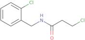 3-Chloro-N-(2-chlorobenzyl)propanamide