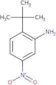 2-tert-Butyl-5-nitroaniline