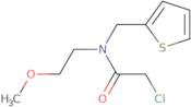 2-Chloro-N-(2-methoxyethyl)-N-(thiophen-2-ylmethyl)acetamide