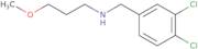 [(3,4-Dichlorophenyl)methyl](3-methoxypropyl)amine