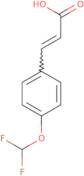 3-[4-(Difluoromethoxy)phenyl]prop-2-enoic acid