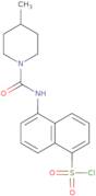 5-[(4-Methylpiperidine-1-carbonyl)amino]naphthalene-1-sulfonyl chloride