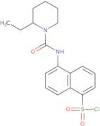5-(2-Ethylpiperidine-1-carboxamido)naphthalene-1-sulfonyl chloride