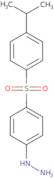 {4-[4-(Propan-2-yl)benzenesulfonyl]phenyl}hydrazine