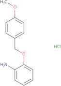 2-[(4-Methoxyphenyl)methoxy]aniline hydrochloride