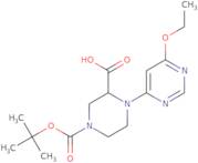 4-(6-Ethoxy-pyrimidin-4-yl)-piperazine-1,3-dicarboxylic acid 1-tert-butyl ester