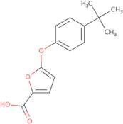 1-{3-[(2-Hydroxy-ethylamino)-methyl]-pyrrolidin-1-yl}-ethanone