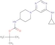 [1-(6-Cyclopropylamino-pyrimidin-4-yl)-piperidin-4-yl]-carbamic acid tert-butyl ester