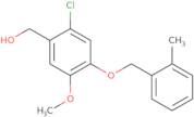 N-[2-(Acetyl-isopropyl-amino)-cyclohexyl]-2-chloro-acetamide