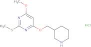 4-Methoxy-2-methylsulfanyl-6-(piperidin-3-ylmethoxy)-pyrimidine hydrochloride