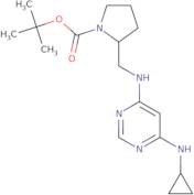 2-[(6-Cyclopropylamino-pyrimidin-4-ylamino)-methyl]-pyrrolidine-1-carboxylic acid tert-butyl ester