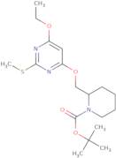 2-(6-Ethoxy-2-methylsulfanyl-pyrimidin-4-yloxymethyl)-piperidine-1-carboxylic acid tert-butyl ester