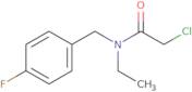 2-Chloro-N-ethyl-N-(4-fluoro-benzyl)-acetamide