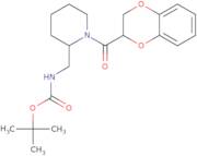 [1-(2,3-Dihydro-benzo[1,4]dioxine-2-carbonyl)-piperidin-2-ylmethyl]-carbamic acid tert-butyl ester