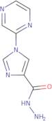 2-Chloro-N-methyl-N-(1-methyl-piperidin-2-ylmethyl)-acetamide