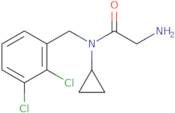 2-Amino-N-cyclopropyl-N-(2,3-dichloro-benzyl)-acetamide